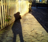 shadow01