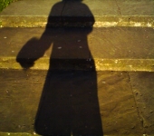 shadow12
