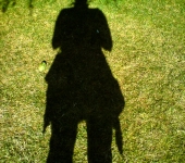 shadow24