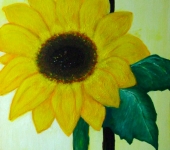 sunflower_40x50
